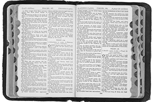 13 Video Lessons on Teaching the Bible