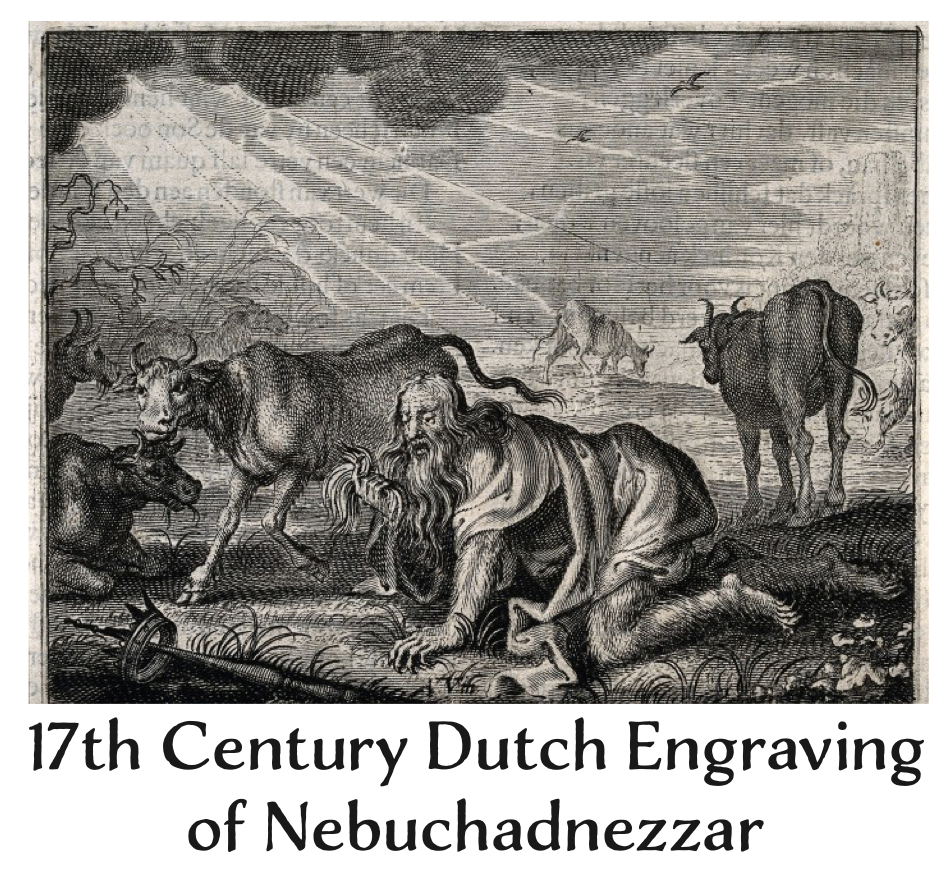 Nebuchadnezzar Grazing